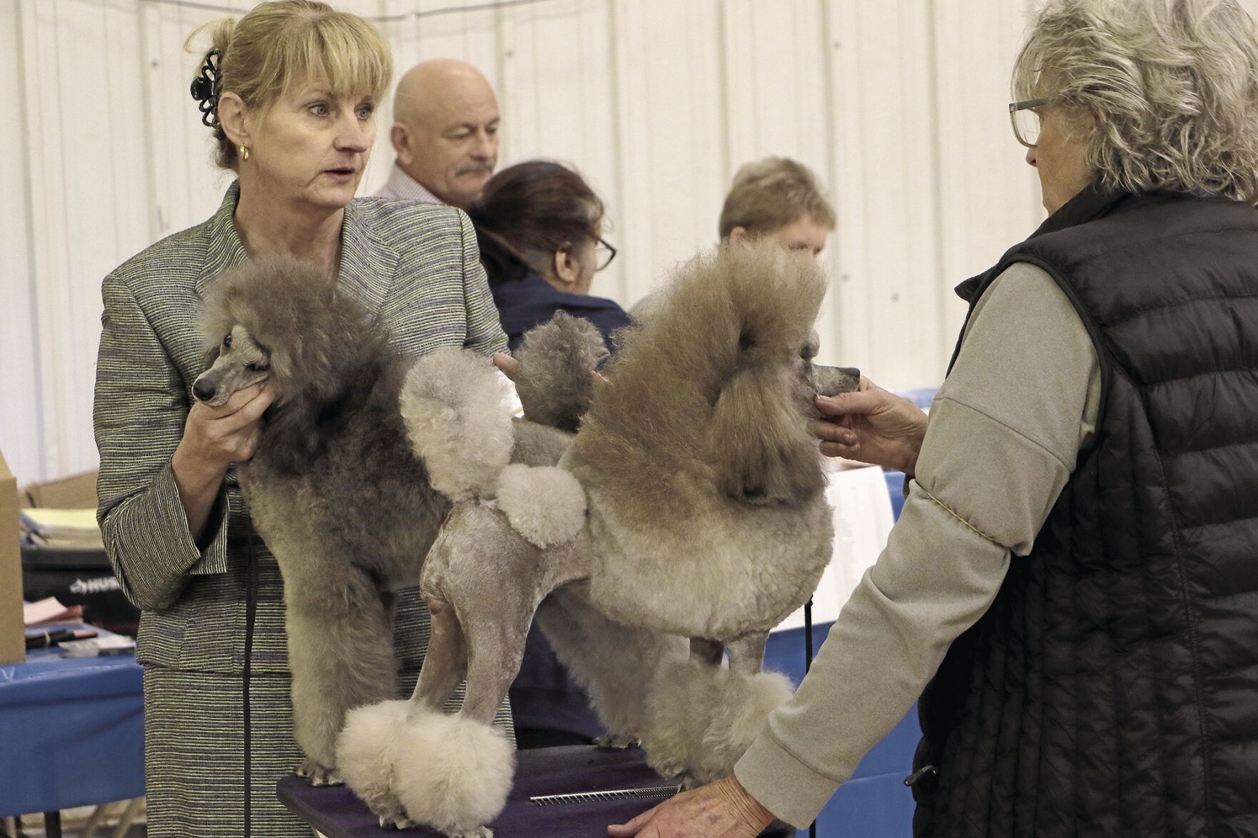 PHOTOS: 2022 AKC Dog Show